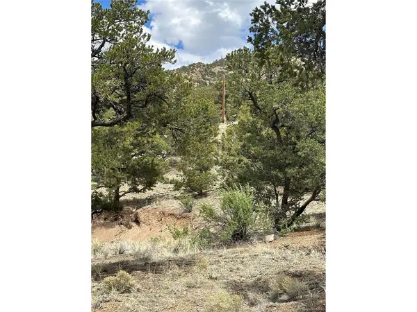 158 Cedar Ridge, Mosca, CO 81146