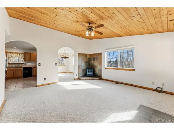 316 3rd, Fairplay, CO 80440