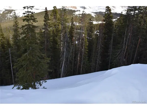 404 Carroll, Breckenridge, CO 80424