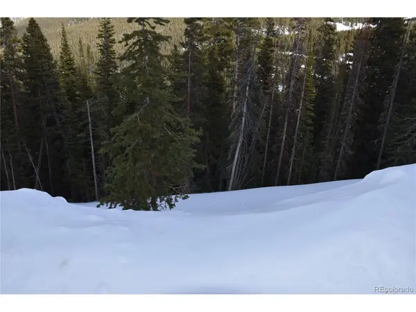 404 Carroll, Breckenridge, CO 80424