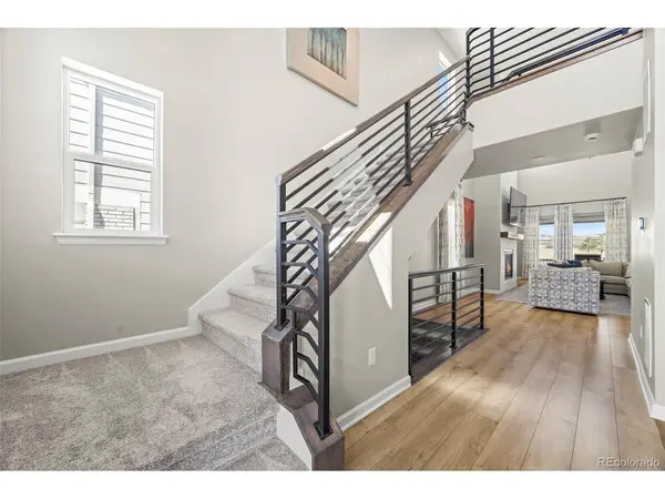 815 Simmental, Castle Rock, CO 80104