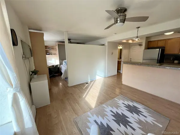 1833 N Williams #401, Denver, CO 80218