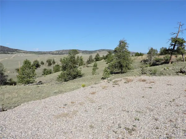 640 Arapaho, Hartsel, CO 80449