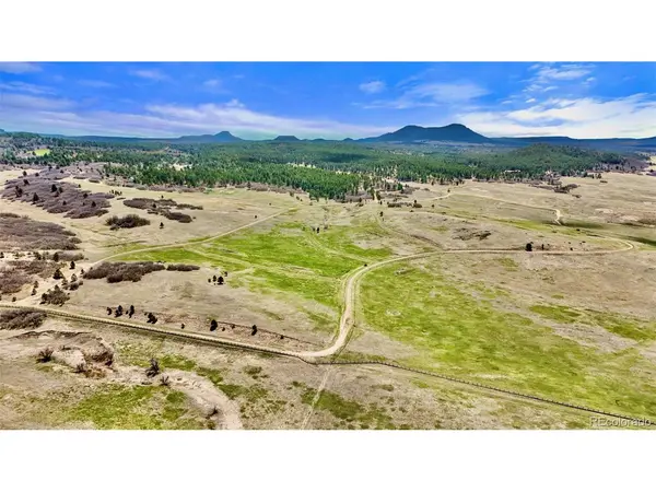 3 S Perry Park, Larkspur, CO 80118