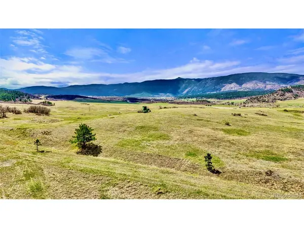 3 S Perry Park, Larkspur, CO 80118