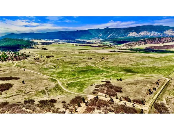 3 S Perry Park, Larkspur, CO 80118