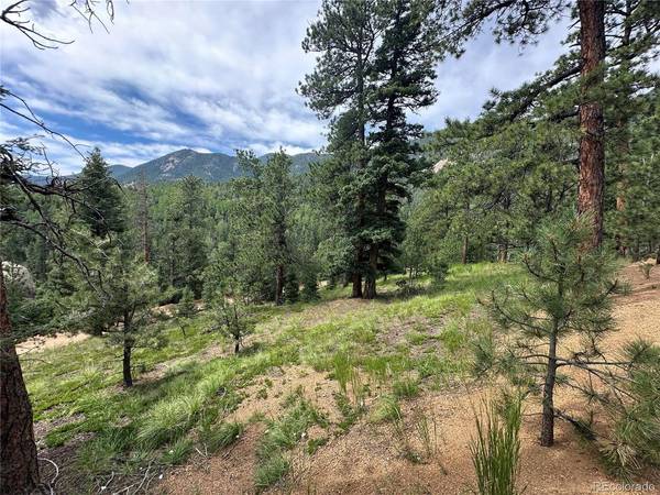 116 Happy Valley, Manitou Springs, CO 80829