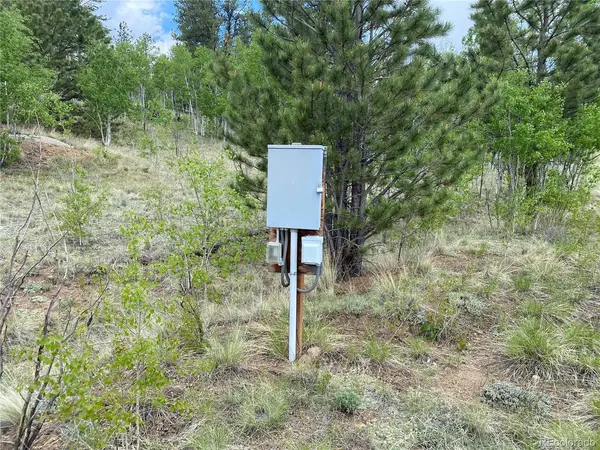 2071 Al Gulch, Jefferson, CO 80456