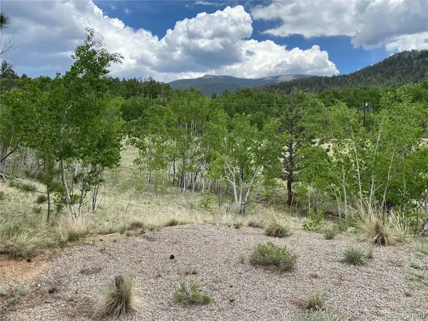 2071 Al Gulch, Jefferson, CO 80456