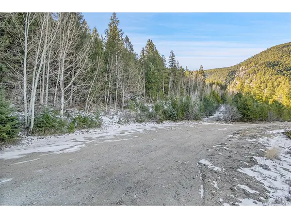 Clear Creek Rd, Evergreen, CO 80439