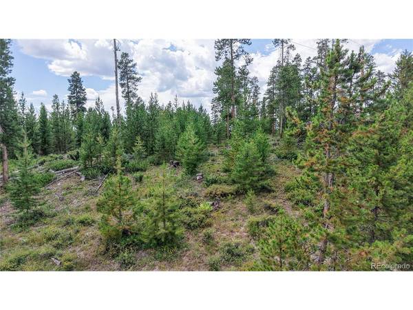 90 County Road 452, Grand Lake, CO 80447