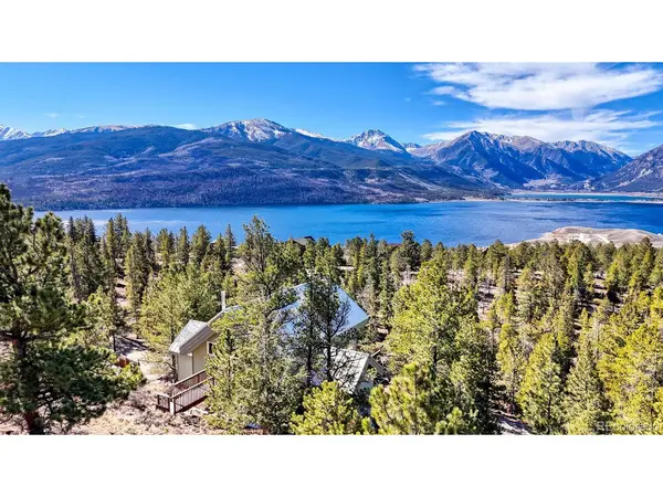 165 Reva Ridge, Twin Lakes, CO 81251