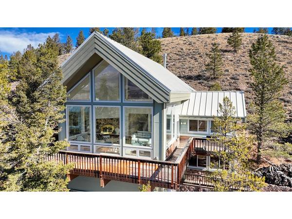 165 Reva Ridge, Twin Lakes, CO 81251