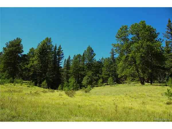 Divide, CO 80814