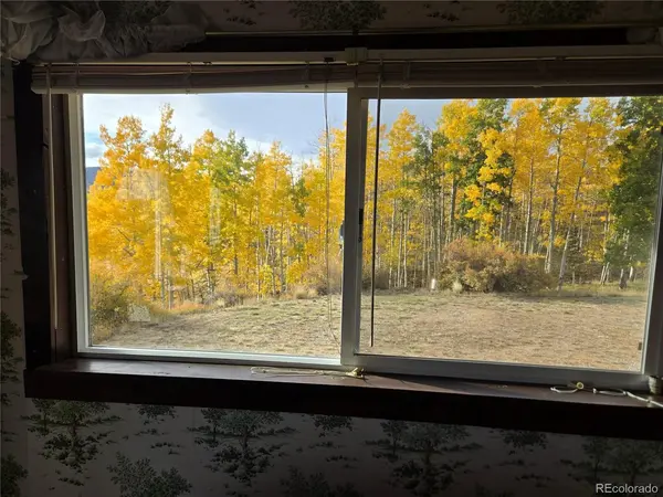 586 Cuesta, Cotopaxi, CO 81223