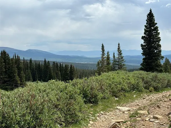 0 Alvin, Silver Cave, Little Ida, Fairplay, CO 80440