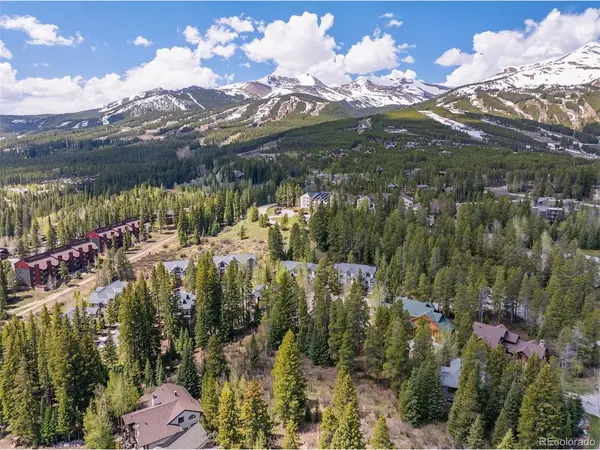 28 Tall Pines, Breckenridge, CO 80424