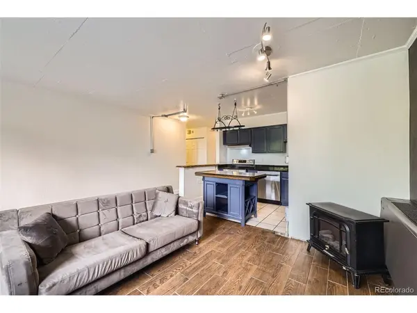 830 N Sherman #208, Denver, CO 80203