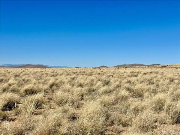 7 Aster, Blanca, CO 81123