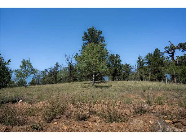 530 Gitche Goone, Como, CO 80432