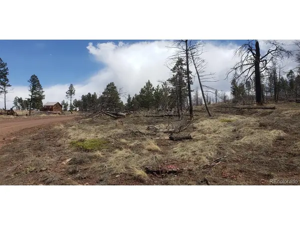 Address not disclosed, Fort Garland, CO 81133