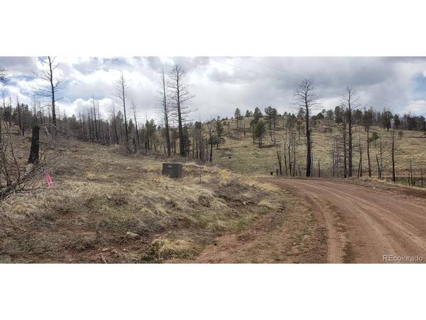 Address not disclosed, Fort Garland, CO 81133
