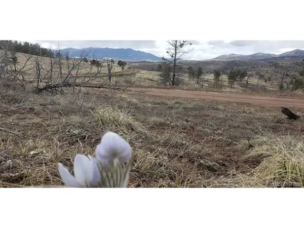 Address not disclosed, Fort Garland, CO 81133