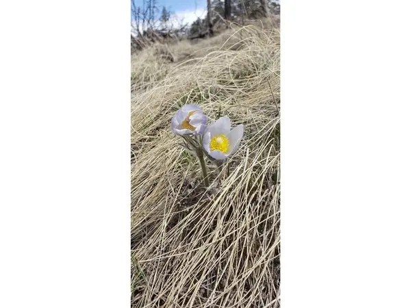 Address not disclosed, Fort Garland, CO 81133