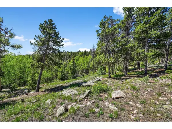 900 Rudi, Golden, CO 80403