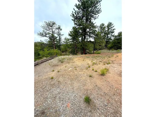 TBD County Road 28, Cotopaxi, CO 81223
