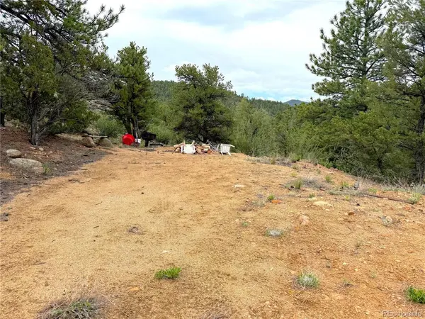 TBD County Road 28, Cotopaxi, CO 81223