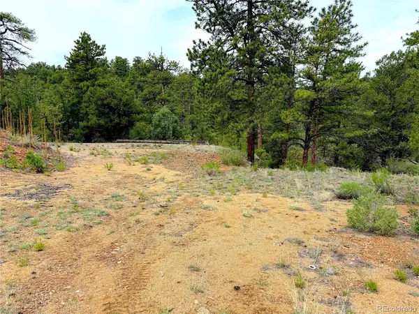 TBD County Road 28, Cotopaxi, CO 81223