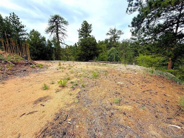 TBD County Road 28, Cotopaxi, CO 81223