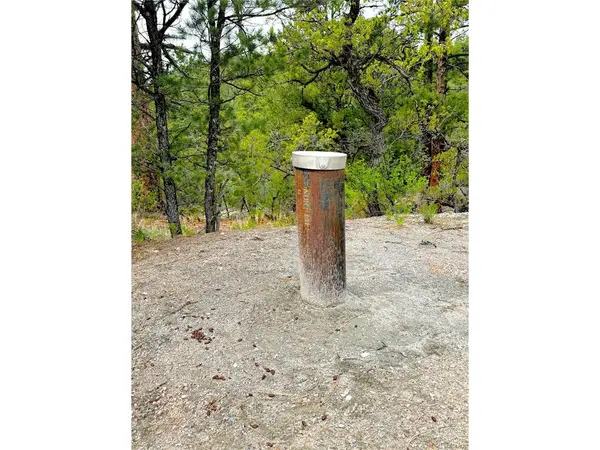 TBD County Road 28, Cotopaxi, CO 81223