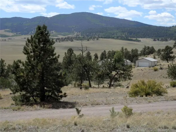 99 Pack Saddle, Hartsel, CO 80449
