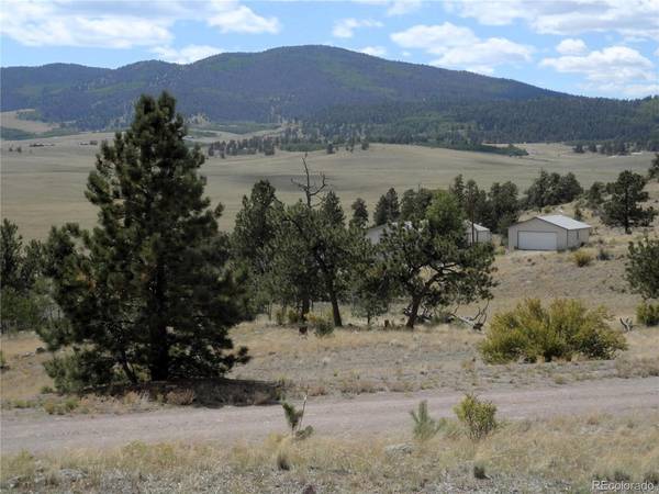 99 Pack Saddle, Hartsel, CO 80449