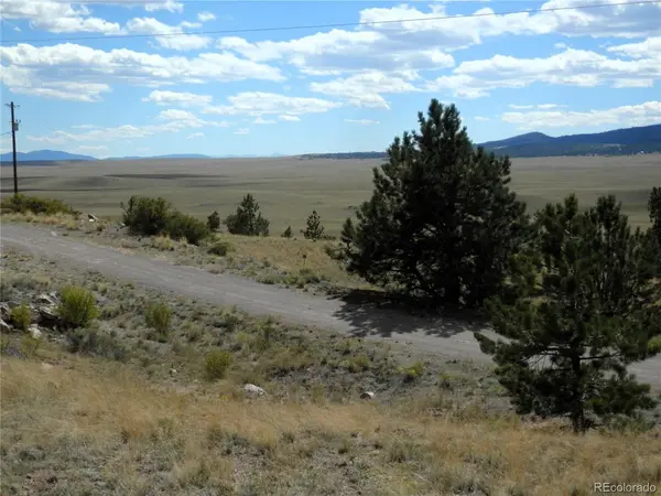 99 Pack Saddle, Hartsel, CO 80449