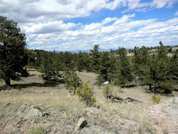 99 Pack Saddle, Hartsel, CO 80449