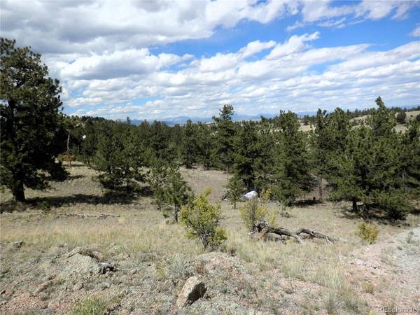 99 Pack Saddle, Hartsel, CO 80449