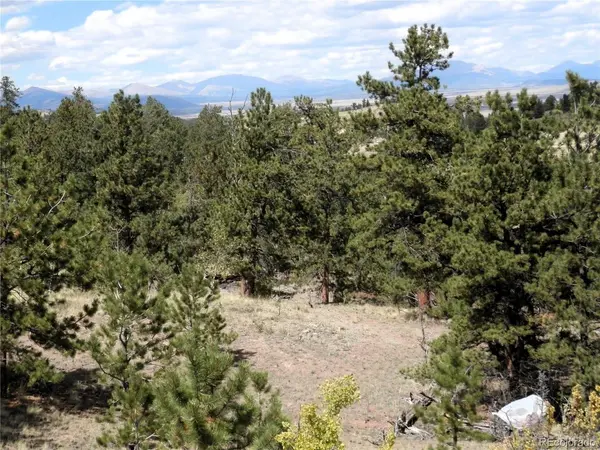 99 Pack Saddle, Hartsel, CO 80449