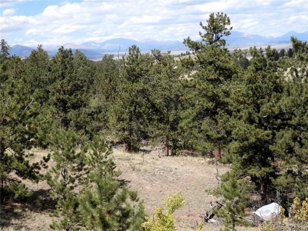 99 Pack Saddle, Hartsel, CO 80449