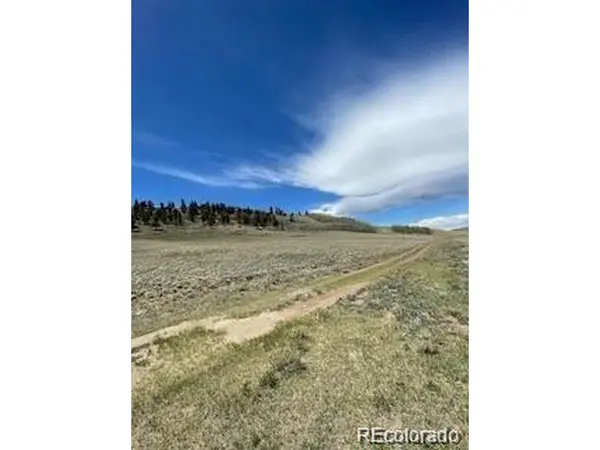 0 Coochie, Hartsel, CO 80449