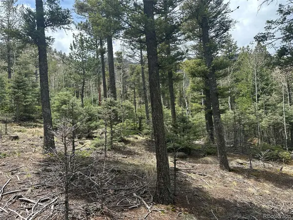 357 Big Horn, Manitou Springs, CO 80829