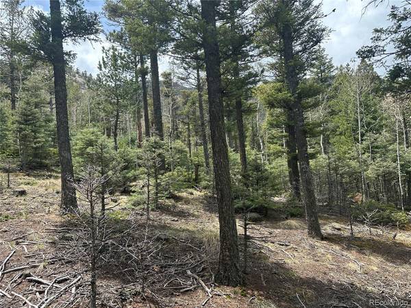 357 Big Horn, Manitou Springs, CO 80829