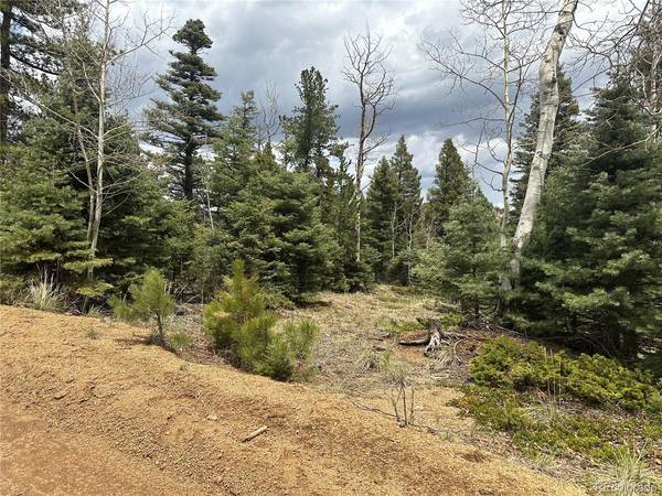 357 Big Horn, Manitou Springs, CO 80829