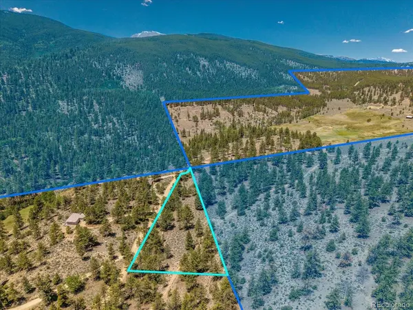 Overlook DR, Buena Vista, CO 81211