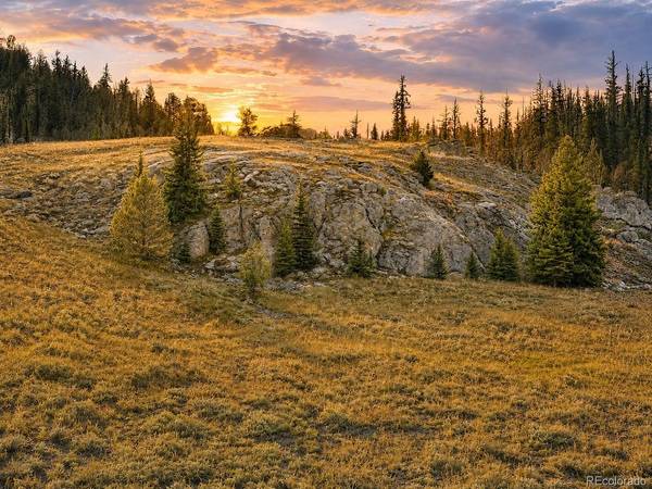 2017 Travois, Jefferson, CO 80456