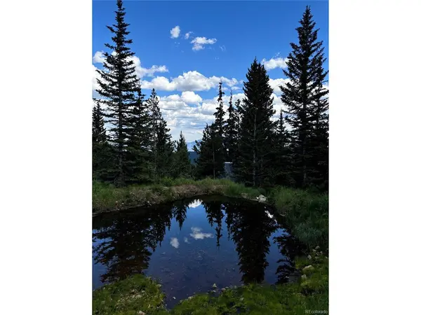 Hilltop, Idaho Springs, CO 80452