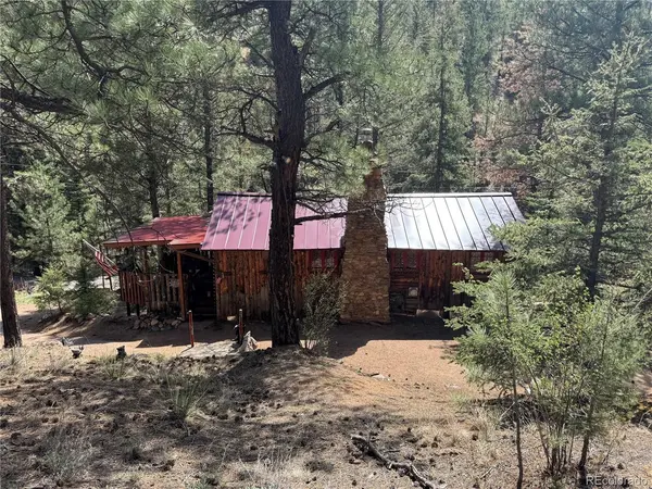 15751 S Elk Creek, Pine, CO 80470