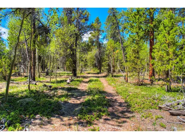337 Busch Run, Fairplay, CO 80440